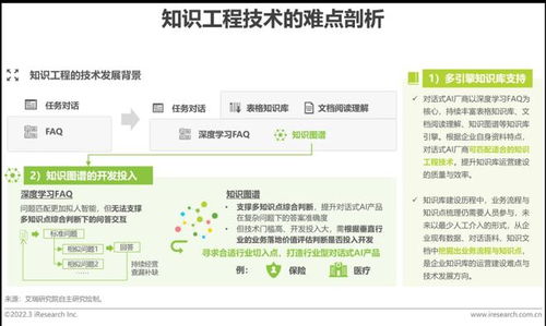 2022年中国对话式AI行业发展白皮书 软件开发篇