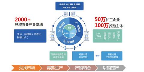 布瑞克农业互联网与北大荒集团北安分公司达成战略合作，携手推进物联网服务新篇章