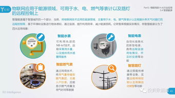 2018中国物联网应用研究报告 互联网数据服务的融合与发展